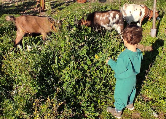 Príncipe por um Dia